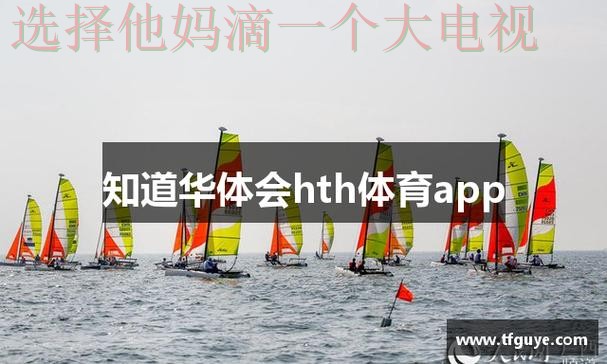 华体会体育APP官网最新版下载体验